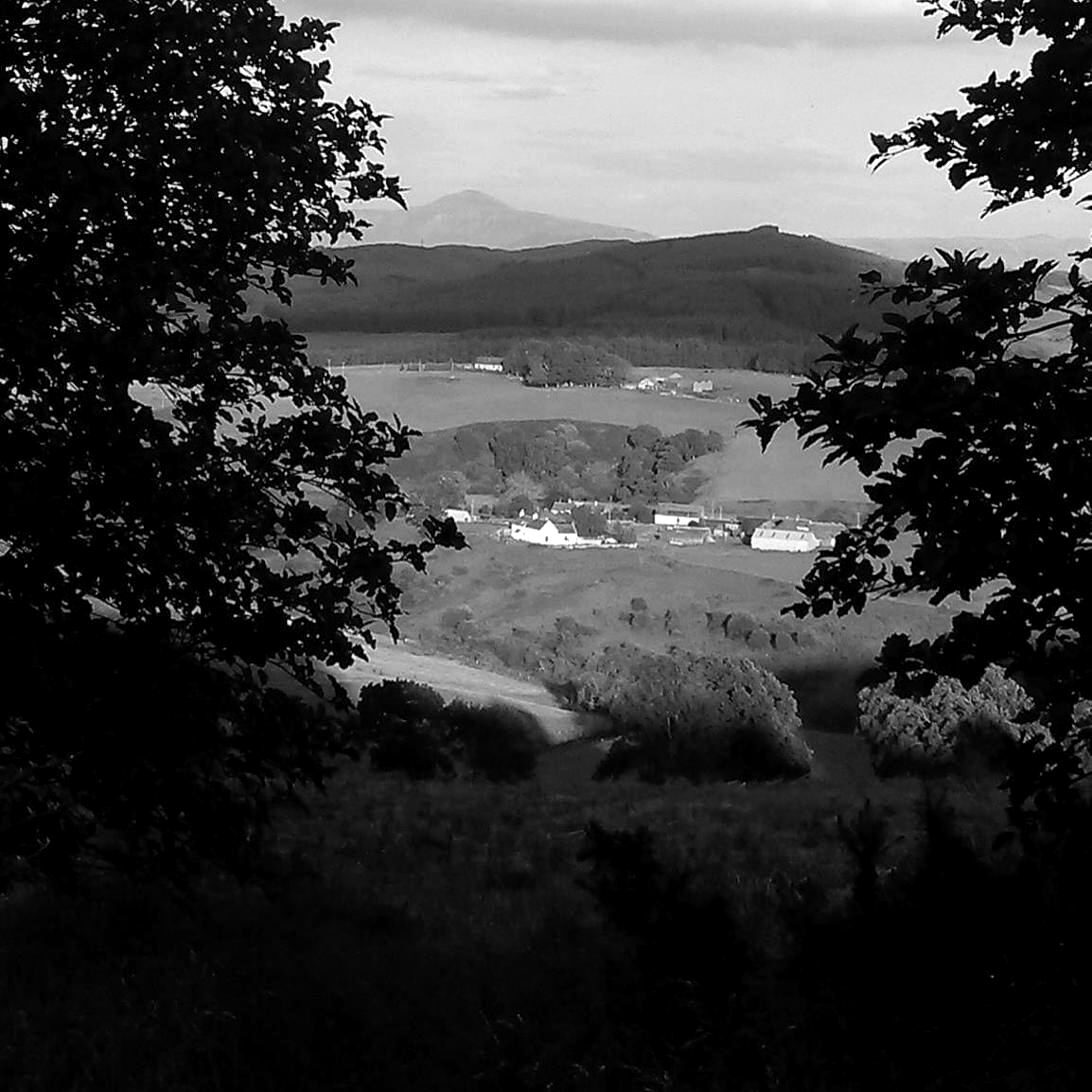 The glen in the Ochil Hills that the TPot Studio windows look down