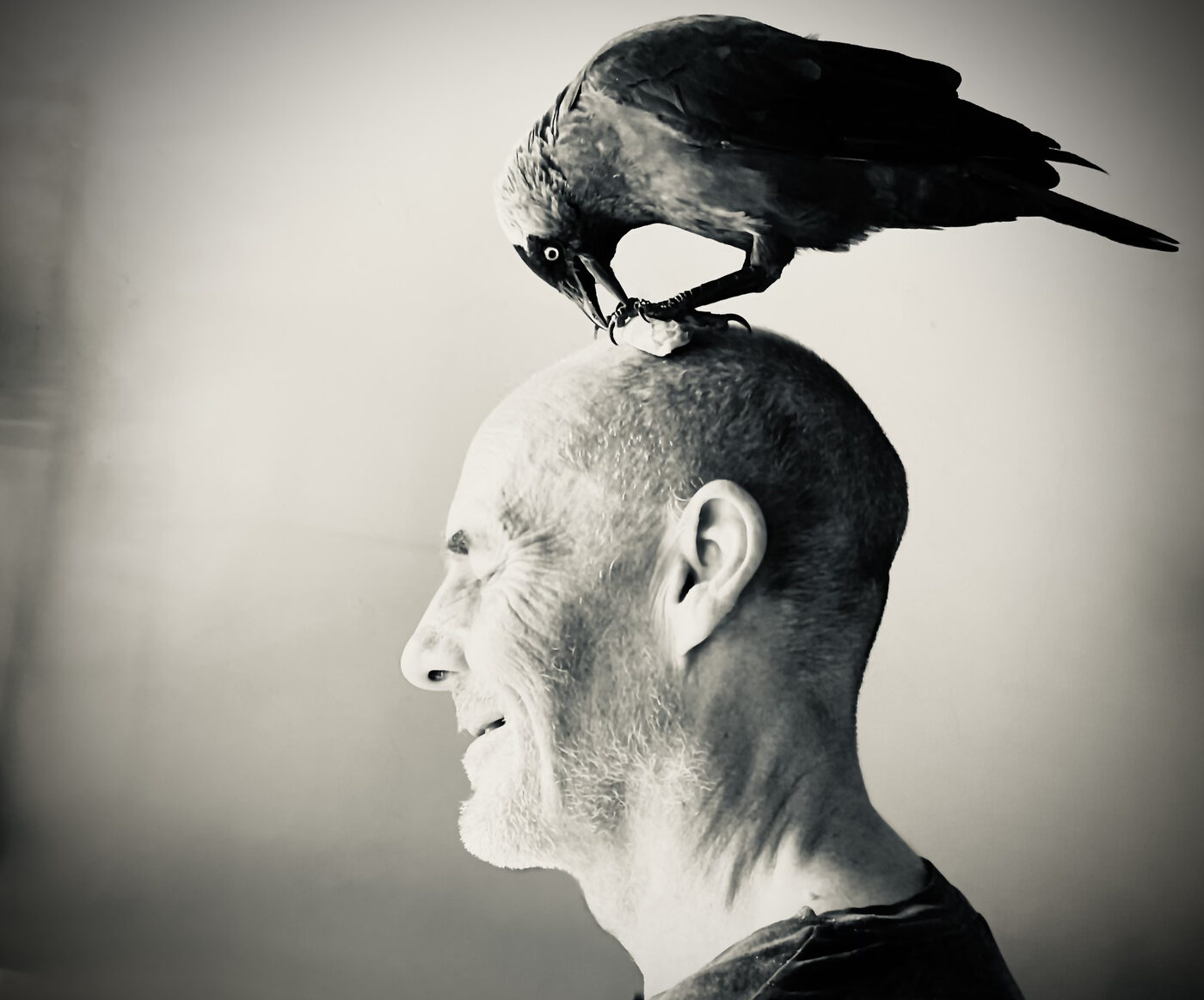 Producer Robin Wynn Evans with his jackdaw